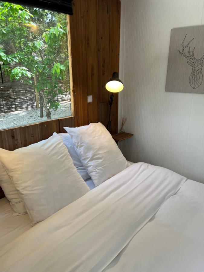 Superbe Cabane Jacuzzi Jardin Clim Wifi Parking Мейрей Екстер'єр фото